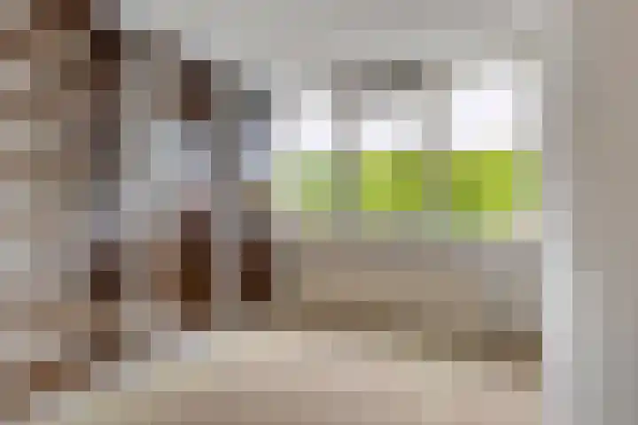 Boezemvliet 7 Maasdam thumbnail 22
