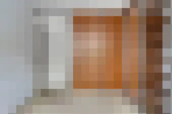 Boezemvliet 7 Maasdam thumbnail 23