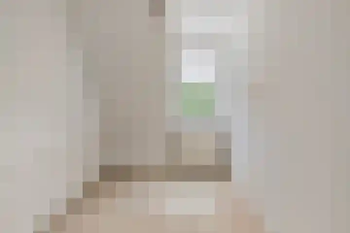 Boezemvliet 7 Maasdam thumbnail 24
