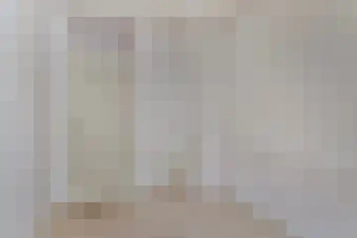 Boezemvliet 7 Maasdam thumbnail 25