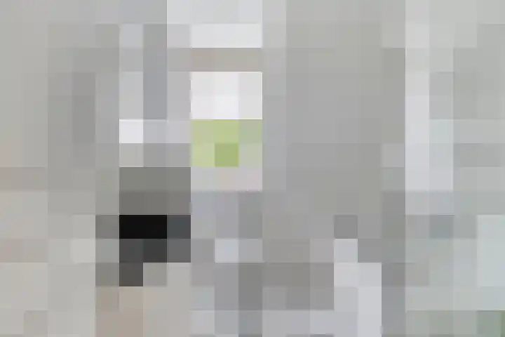 Boezemvliet 7 Maasdam thumbnail 26