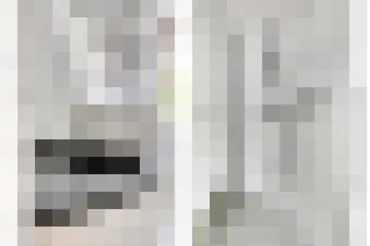 Boezemvliet 7 Maasdam thumbnail 27