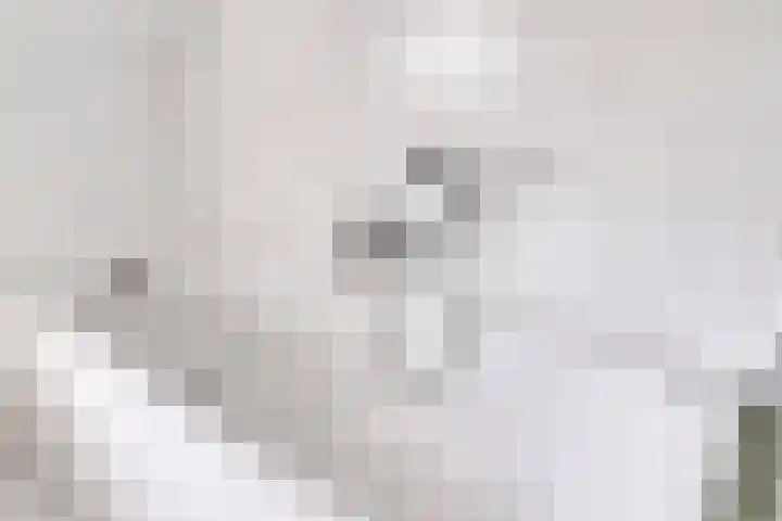 Boezemvliet 7 Maasdam thumbnail 28