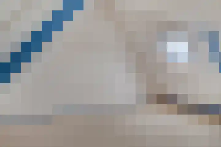 Boezemvliet 7 Maasdam thumbnail 29
