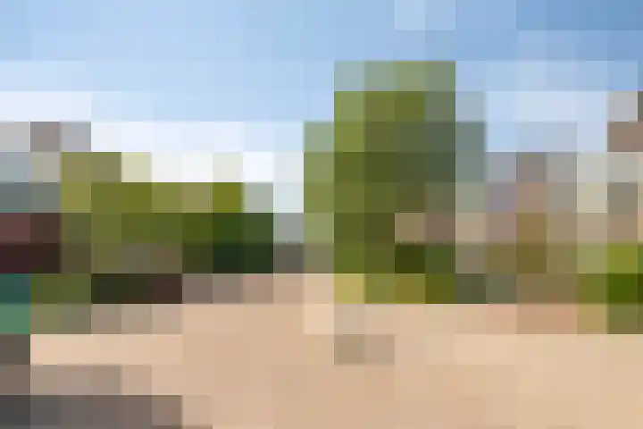 Boezemvliet 7 Maasdam foto 3