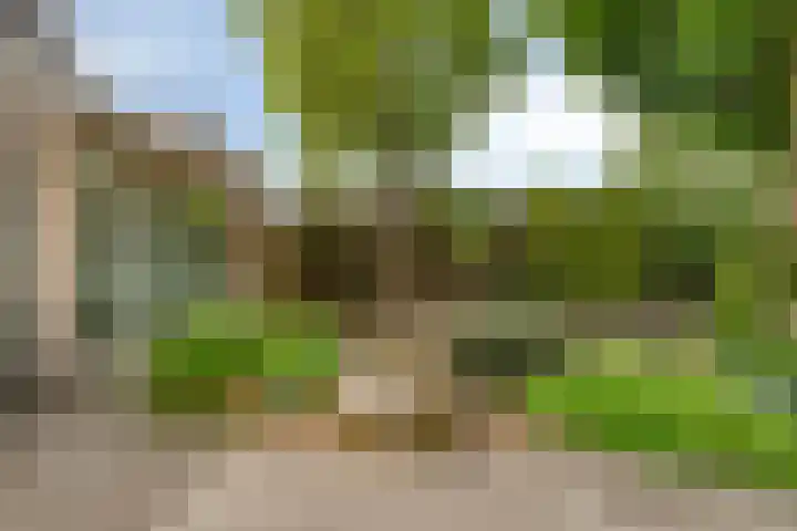Boezemvliet 7 Maasdam thumbnail 32