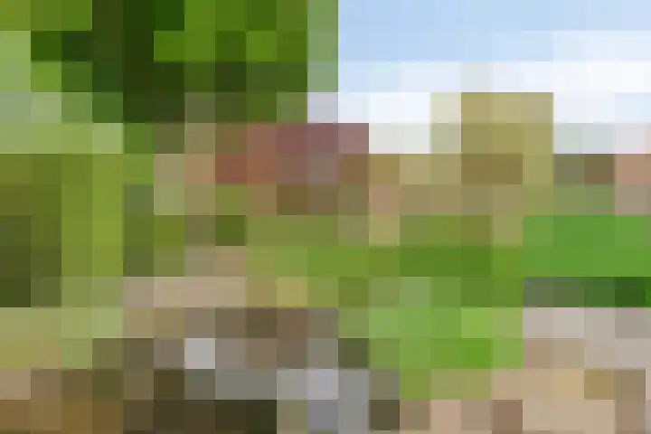 Boezemvliet 7 Maasdam thumbnail 33