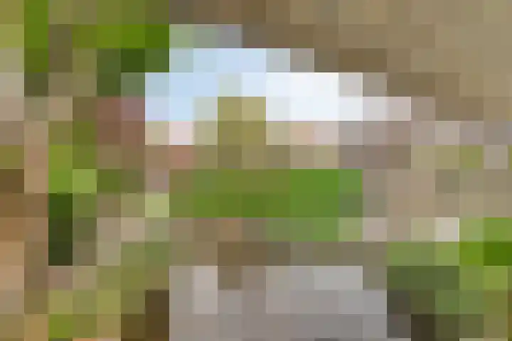 Boezemvliet 7 Maasdam thumbnail 34