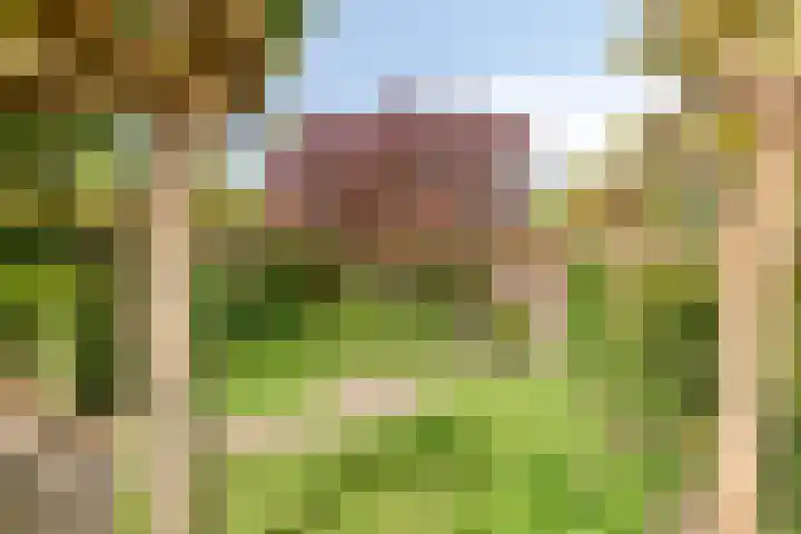 Boezemvliet 7 Maasdam thumbnail 35