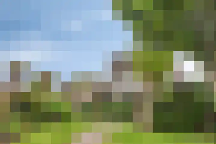 Boezemvliet 7 Maasdam thumbnail 36