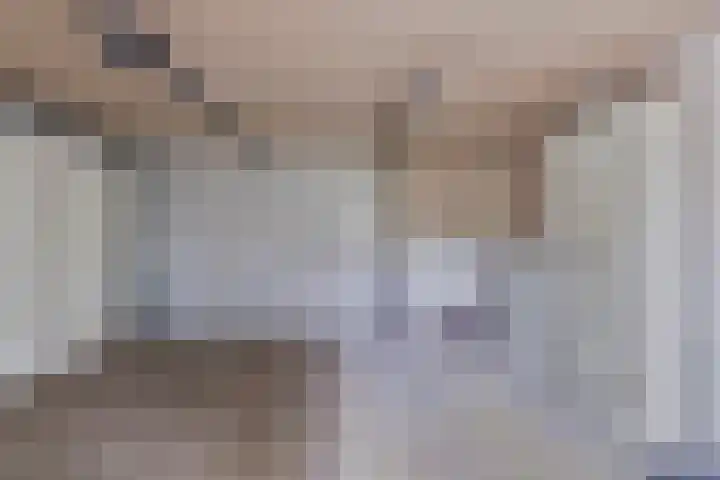 Boezemvliet 7 Maasdam thumbnail 37