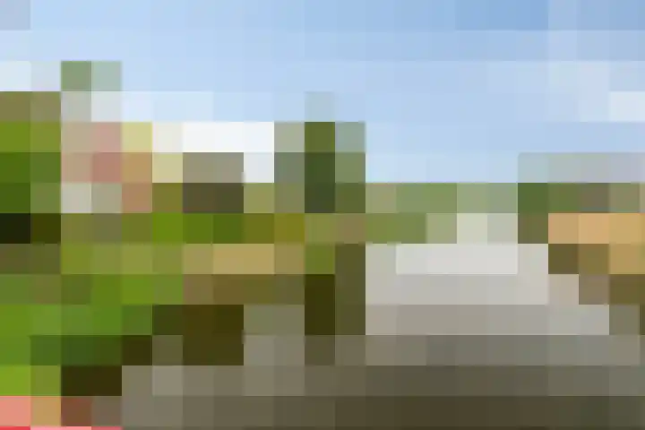 Boezemvliet 7 Maasdam thumbnail 38