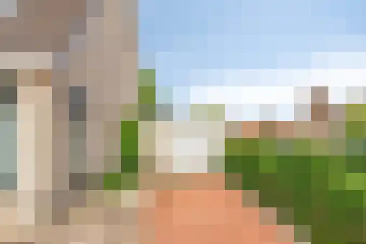 Boezemvliet 7 Maasdam thumbnail 4