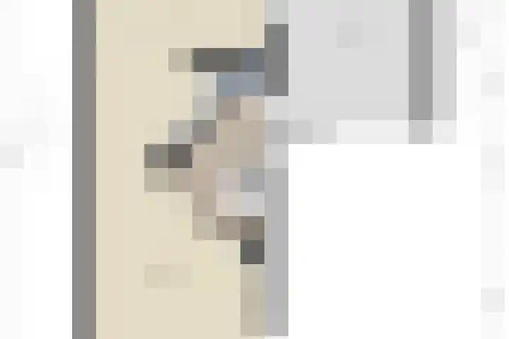 Boezemvliet 7 Maasdam thumbnail 40