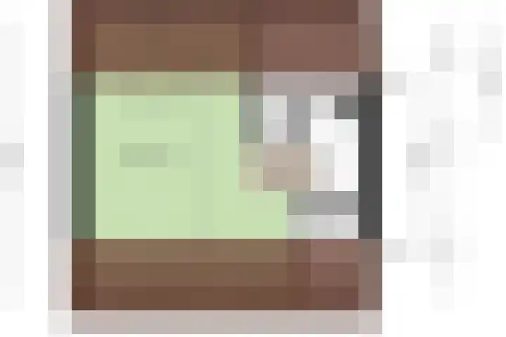 Boezemvliet 7 Maasdam thumbnail 42