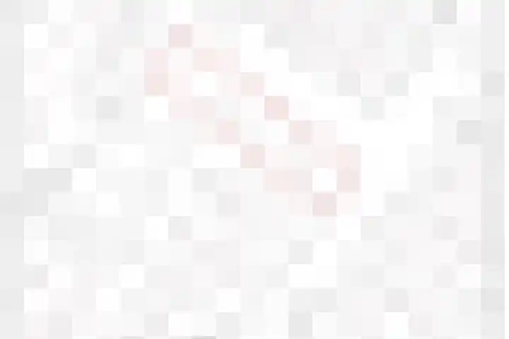 Boezemvliet 7 Maasdam thumbnail 44