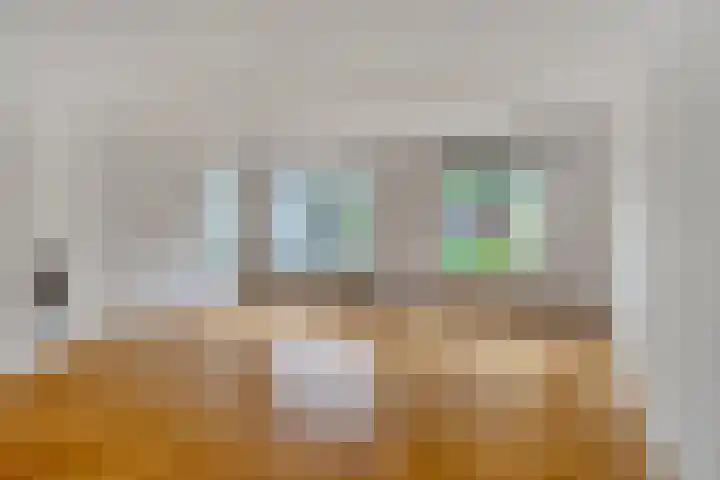 Boezemvliet 7 Maasdam thumbnail 8