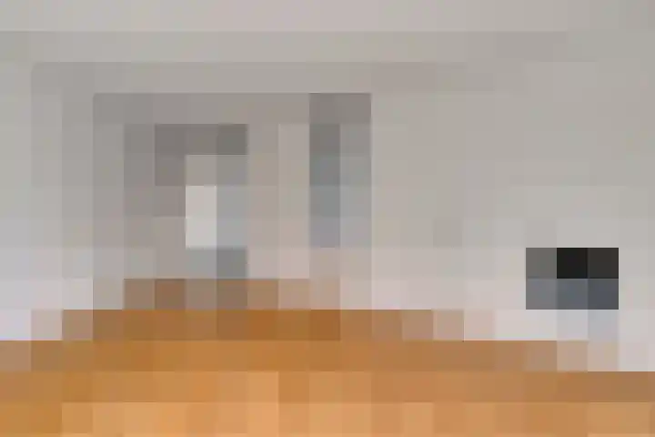 Boezemvliet 7 Maasdam thumbnail 9