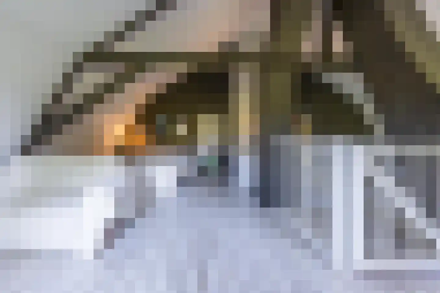 Boezemweg 1 Dreumel thumbnail 41