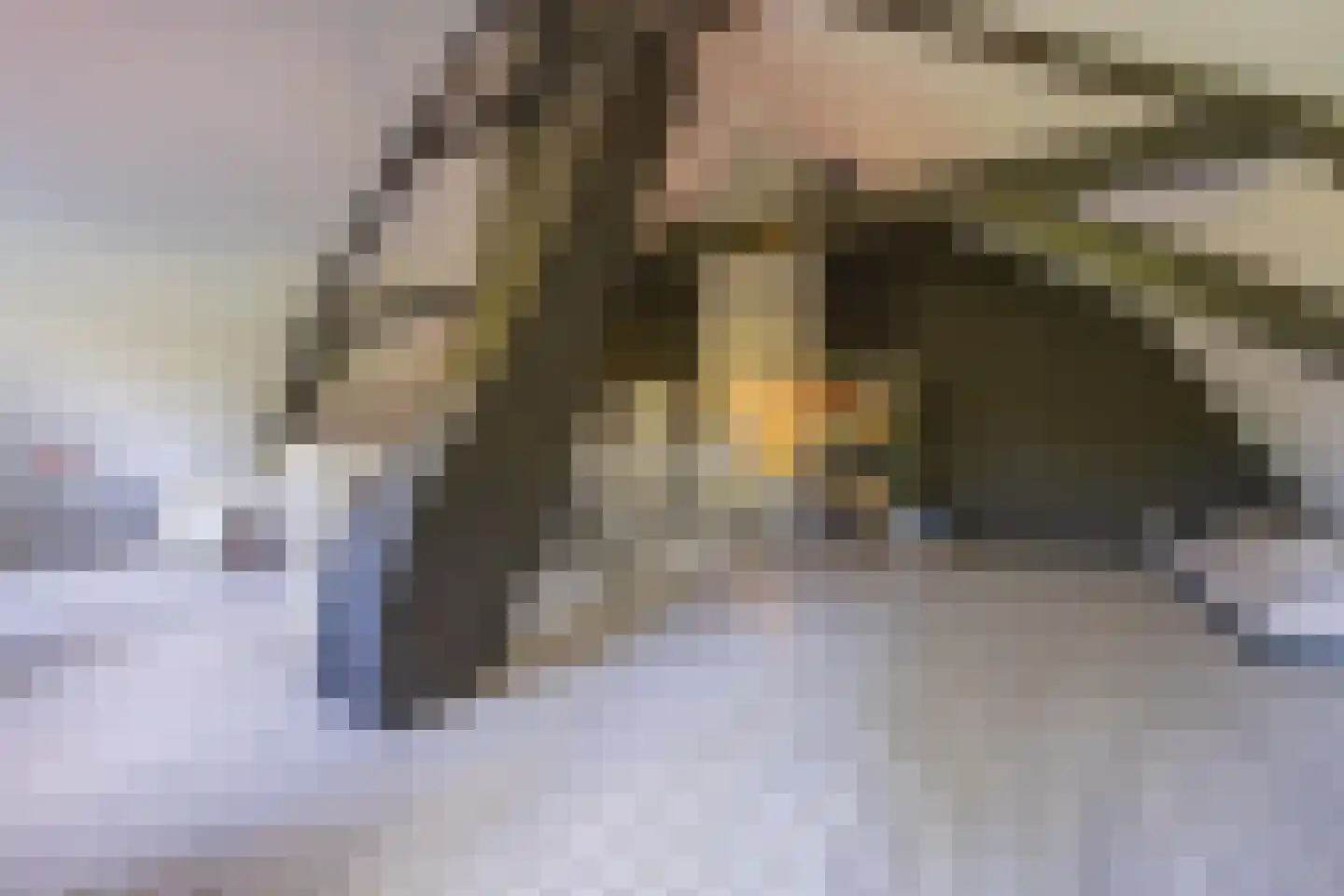 Boezemweg 1 Dreumel thumbnail 42