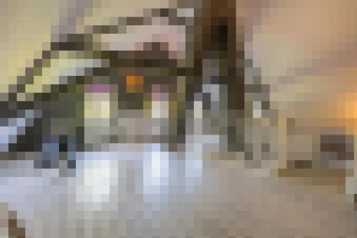 Boezemweg 1 Dreumel thumbnail 43