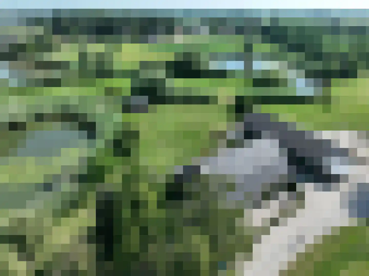 Boezemweg 1 Dreumel thumbnail 44