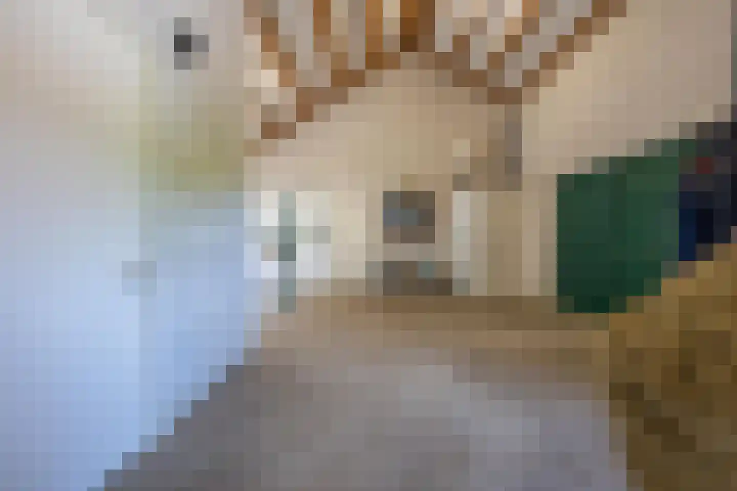Boezemweg 1 Dreumel thumbnail 52