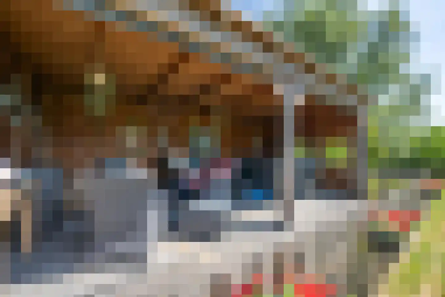 Boezemweg 1 Dreumel thumbnail 62