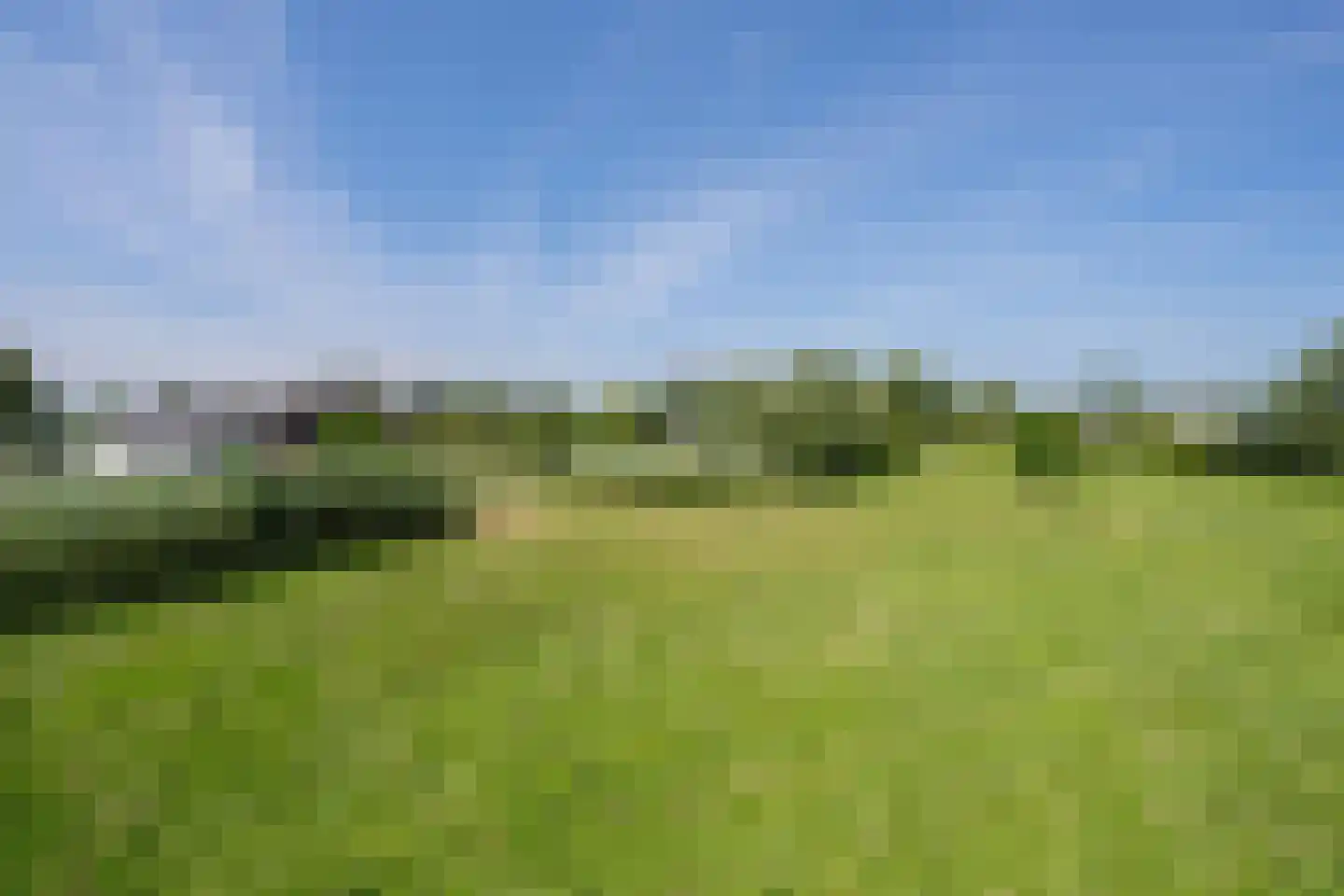 Boezemweg 1 Dreumel thumbnail 69
