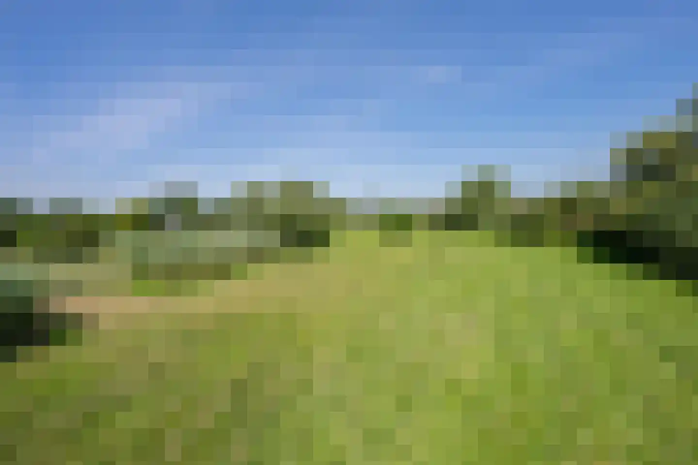Boezemweg 1 Dreumel thumbnail 70