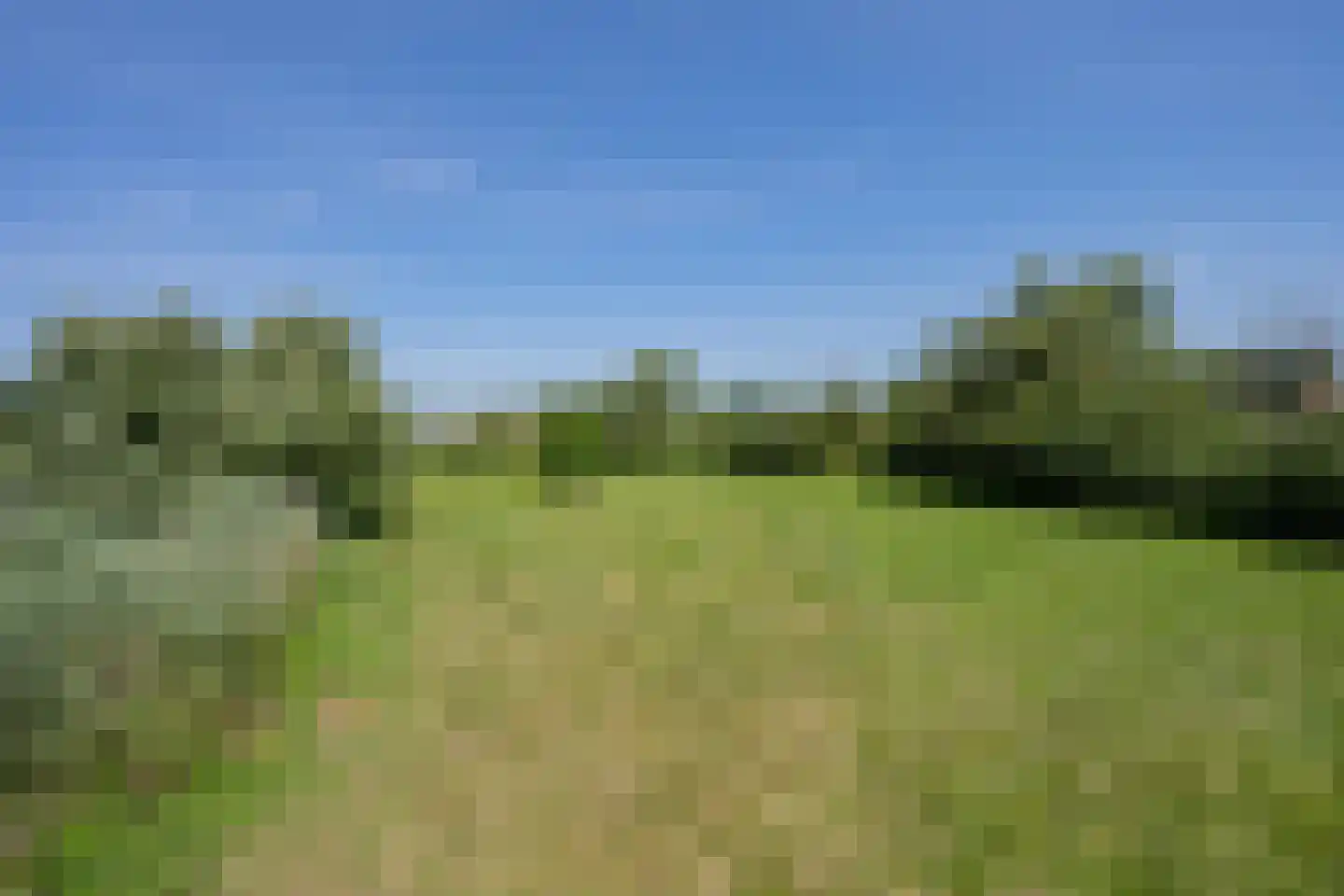 Boezemweg 1 Dreumel thumbnail 71