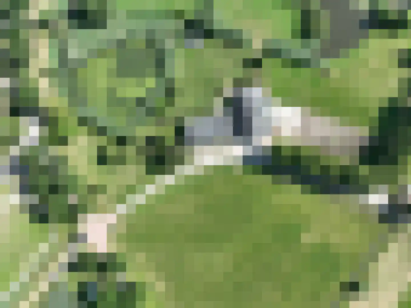 Boezemweg 1 Dreumel thumbnail 79