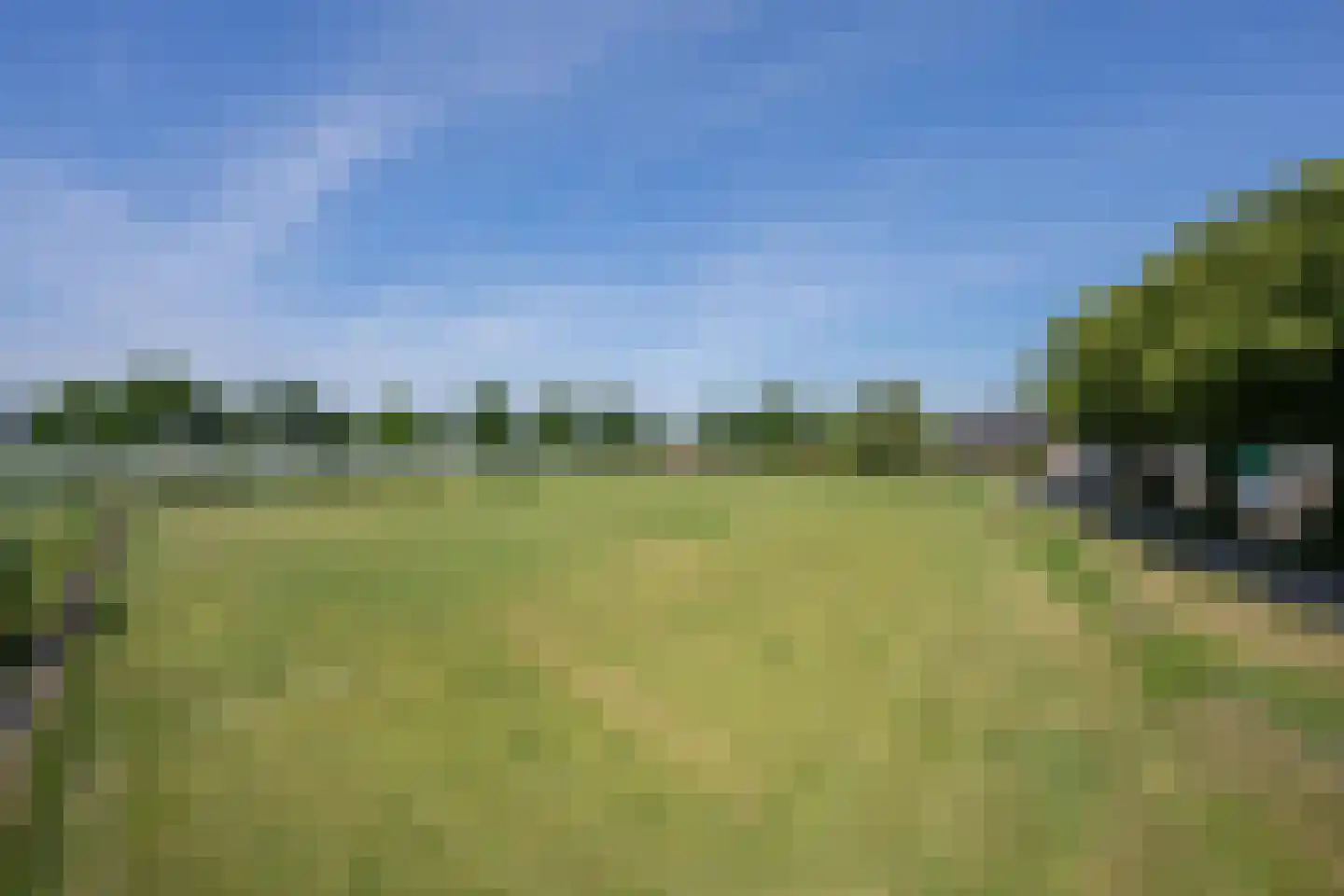 Boezemweg 1 Dreumel thumbnail 81