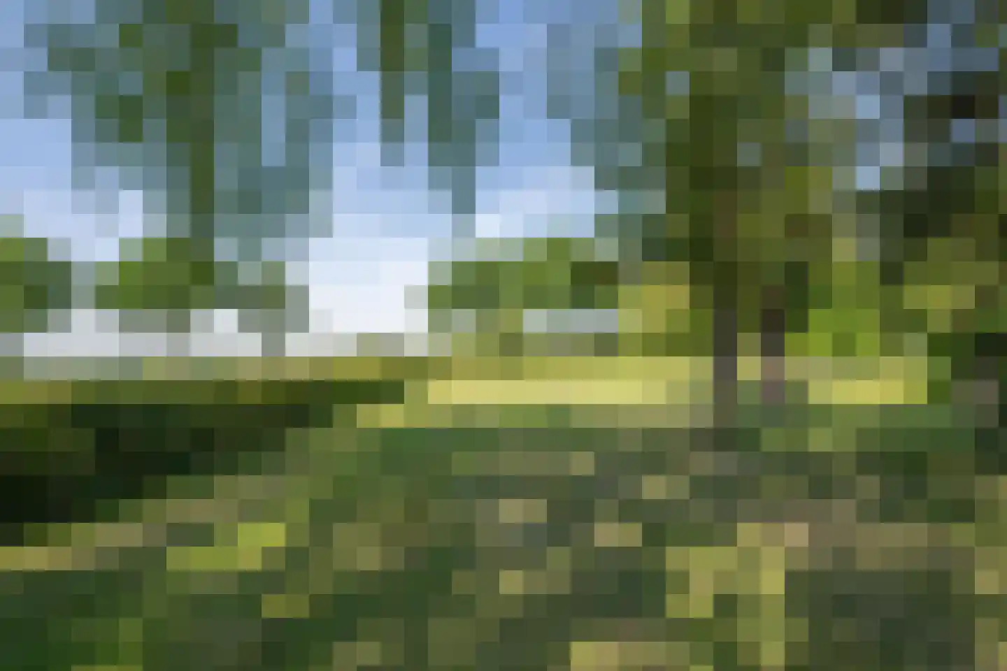 Boezemweg 1 Dreumel thumbnail 84