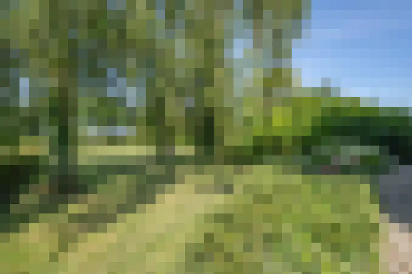 Boezemweg 1 Dreumel thumbnail 87