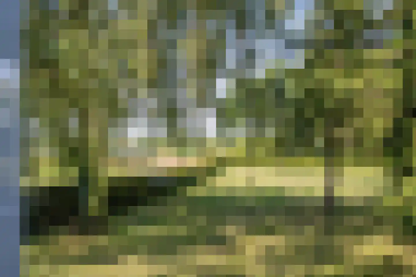 Boezemweg 1 Dreumel thumbnail 88