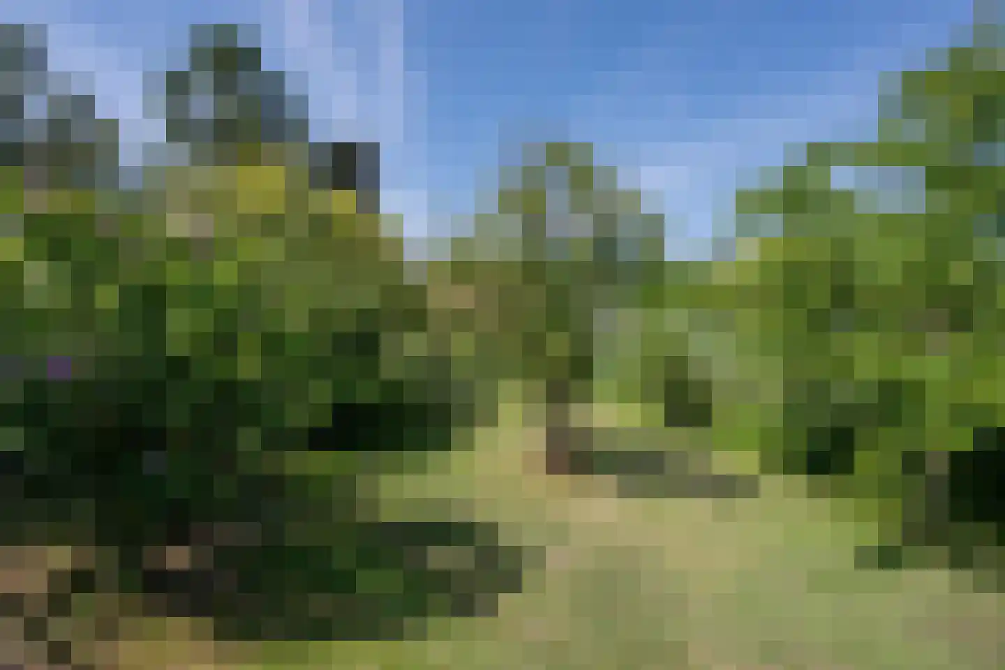 Boezemweg 1 Dreumel thumbnail 89