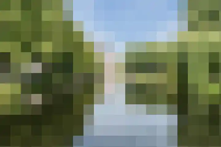 Boezemweg 156 C Rotterdam thumbnail 26