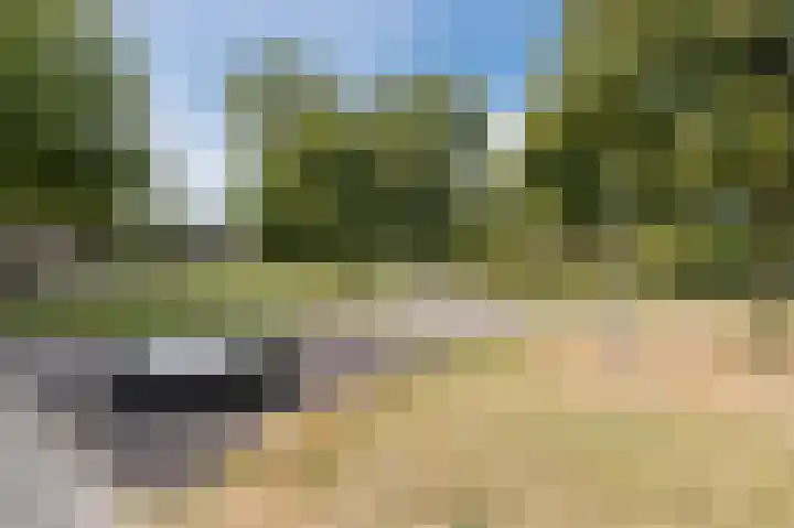 Boezemweg 156 C Rotterdam thumbnail 28