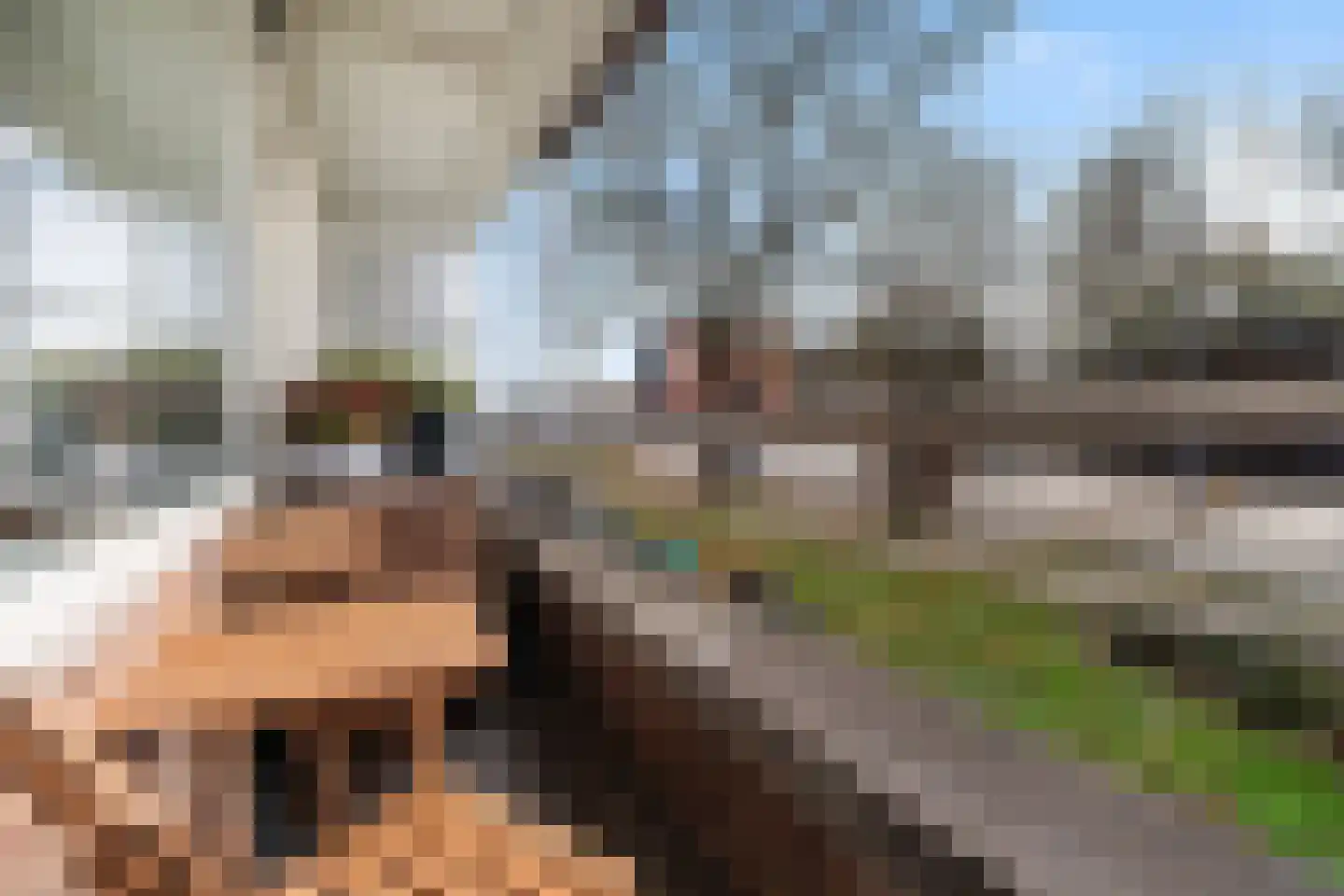 Boezemweg 158 A Rotterdam thumbnail 6