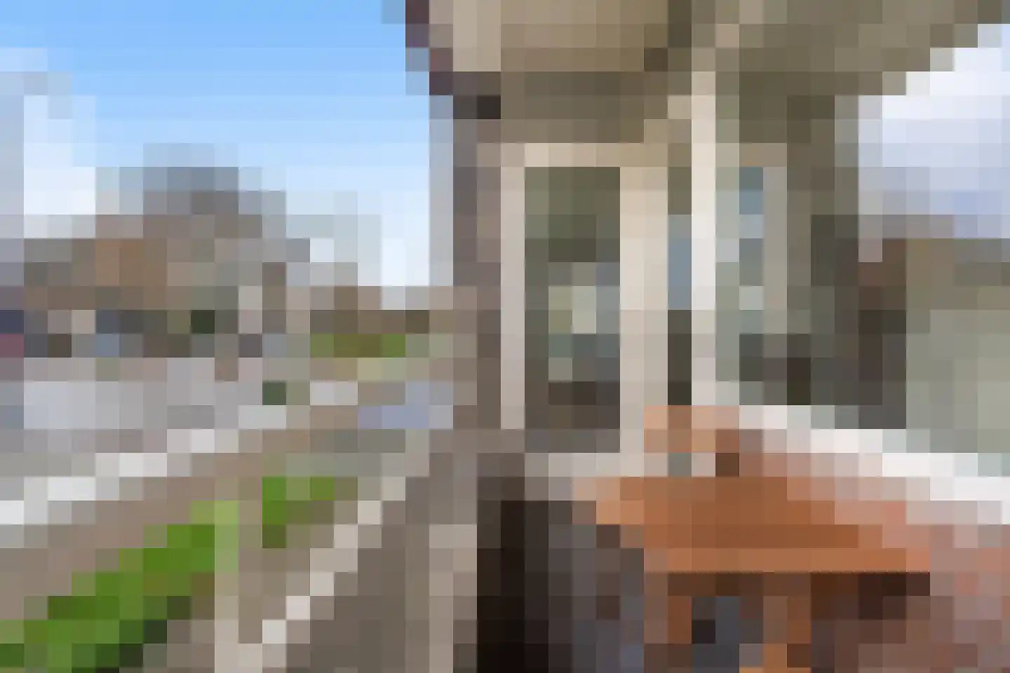 Boezemweg 158 A Rotterdam thumbnail 7