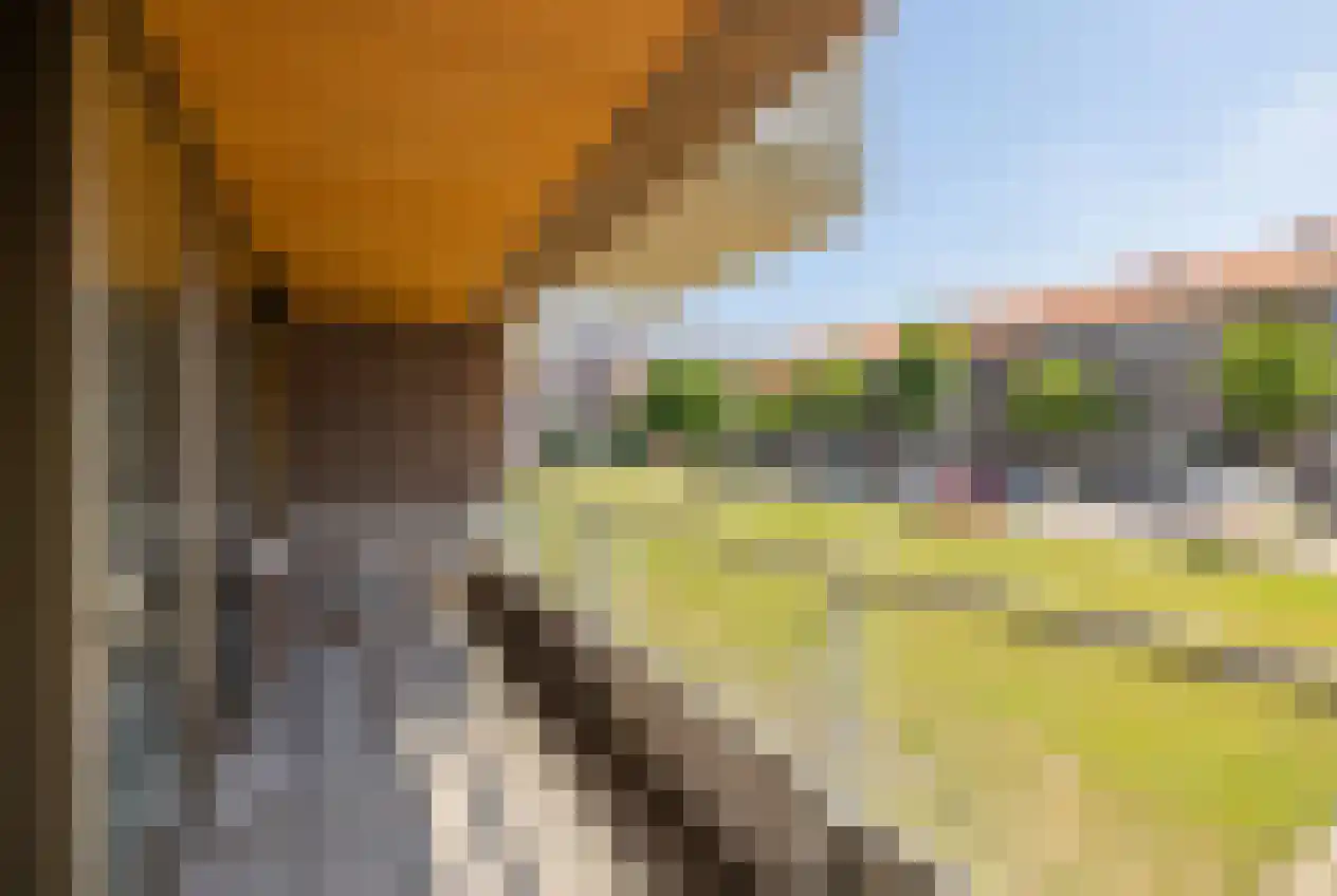 Boezemweg 161 E Rotterdam thumbnail 9