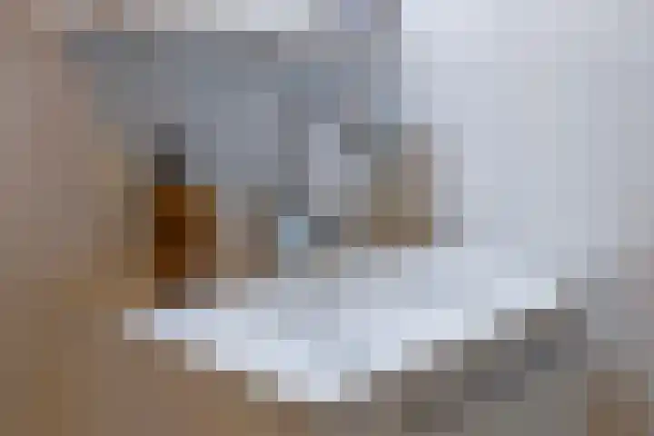Boezemweg 161 R Rotterdam thumbnail 16