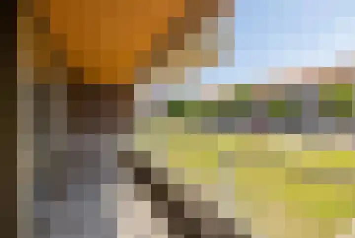 Boezemweg 161 R Rotterdam thumbnail 8