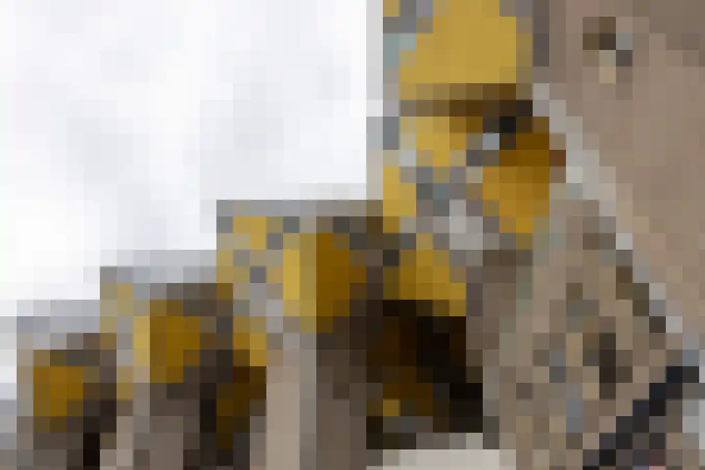 Boezemweg 163 K Rotterdam thumbnail 35