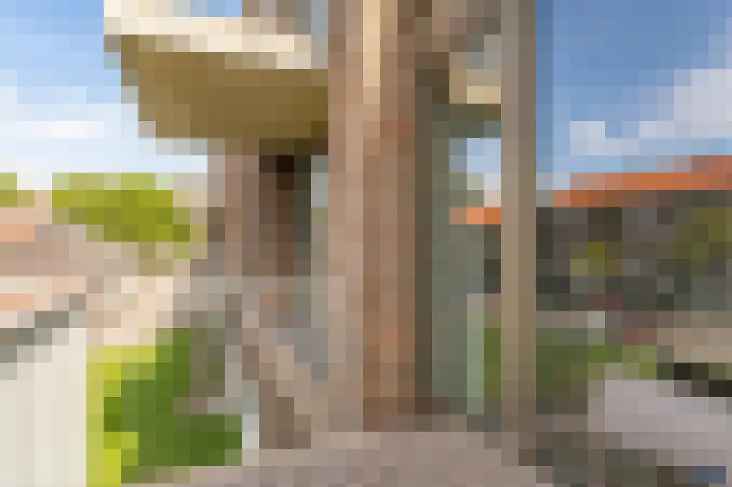 Boezemweg 163 Q Rotterdam thumbnail 15