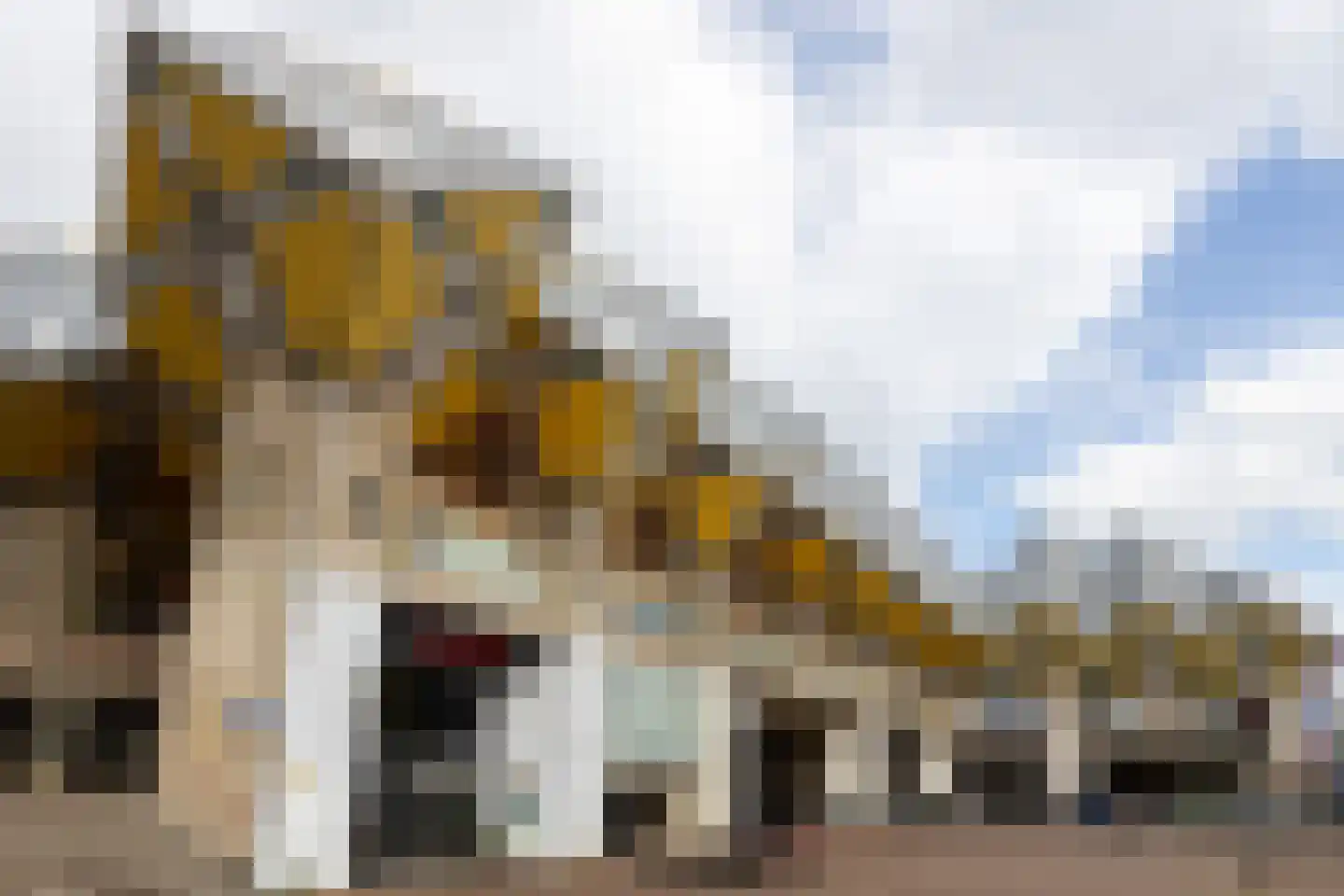 Boezemweg 163 Q Rotterdam thumbnail 24