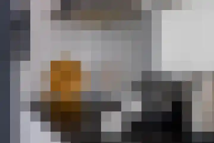 Boezemweg 165 A Rotterdam thumbnail 12