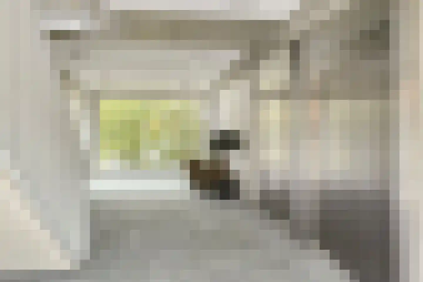 Boezemweg 165 A Rotterdam thumbnail 15