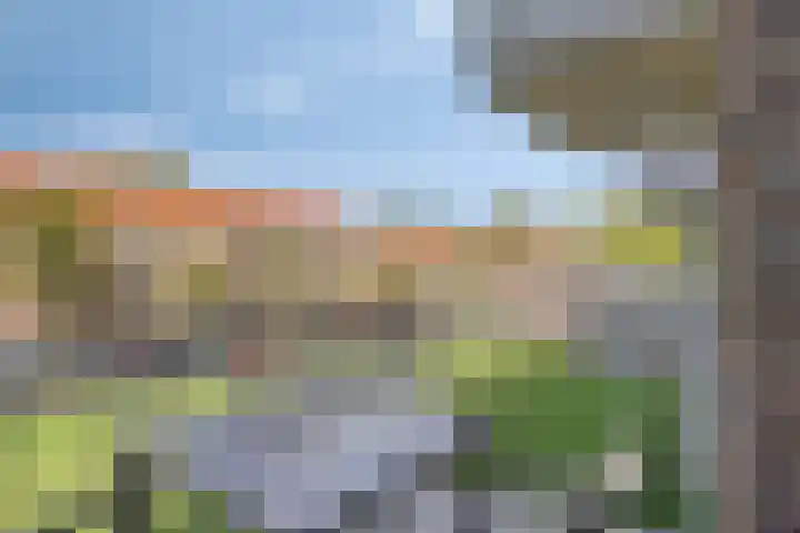 Boezemweg 165 L Rotterdam thumbnail 10